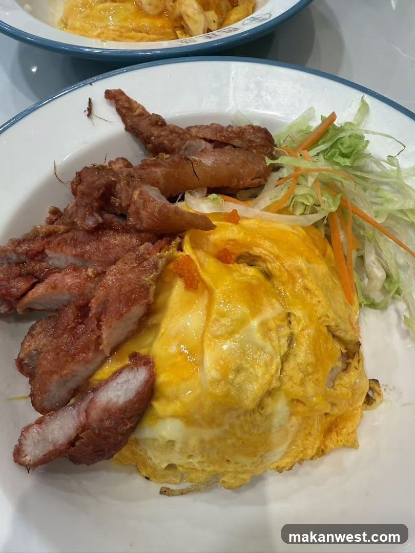 Plate of Fried Pork and Omelette with Salad