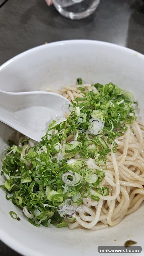 Bowl of noodles with green onions