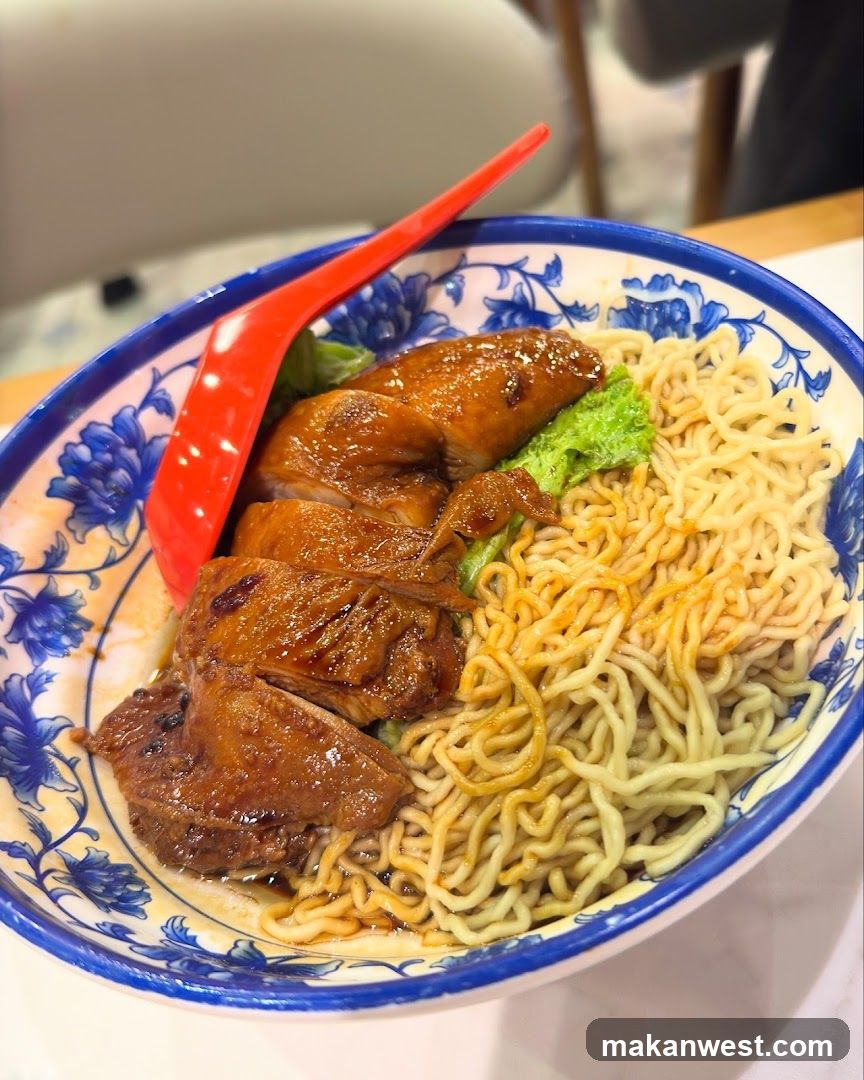 Noodles with Braised Meat