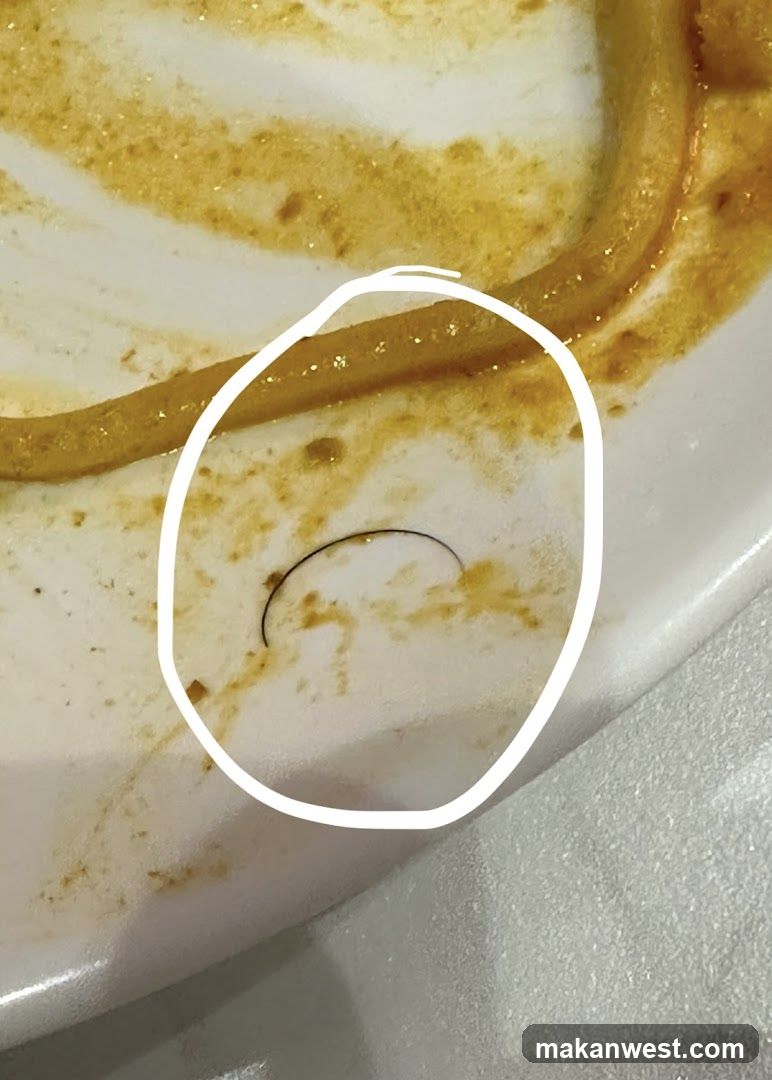 Dirty Plate with Hair