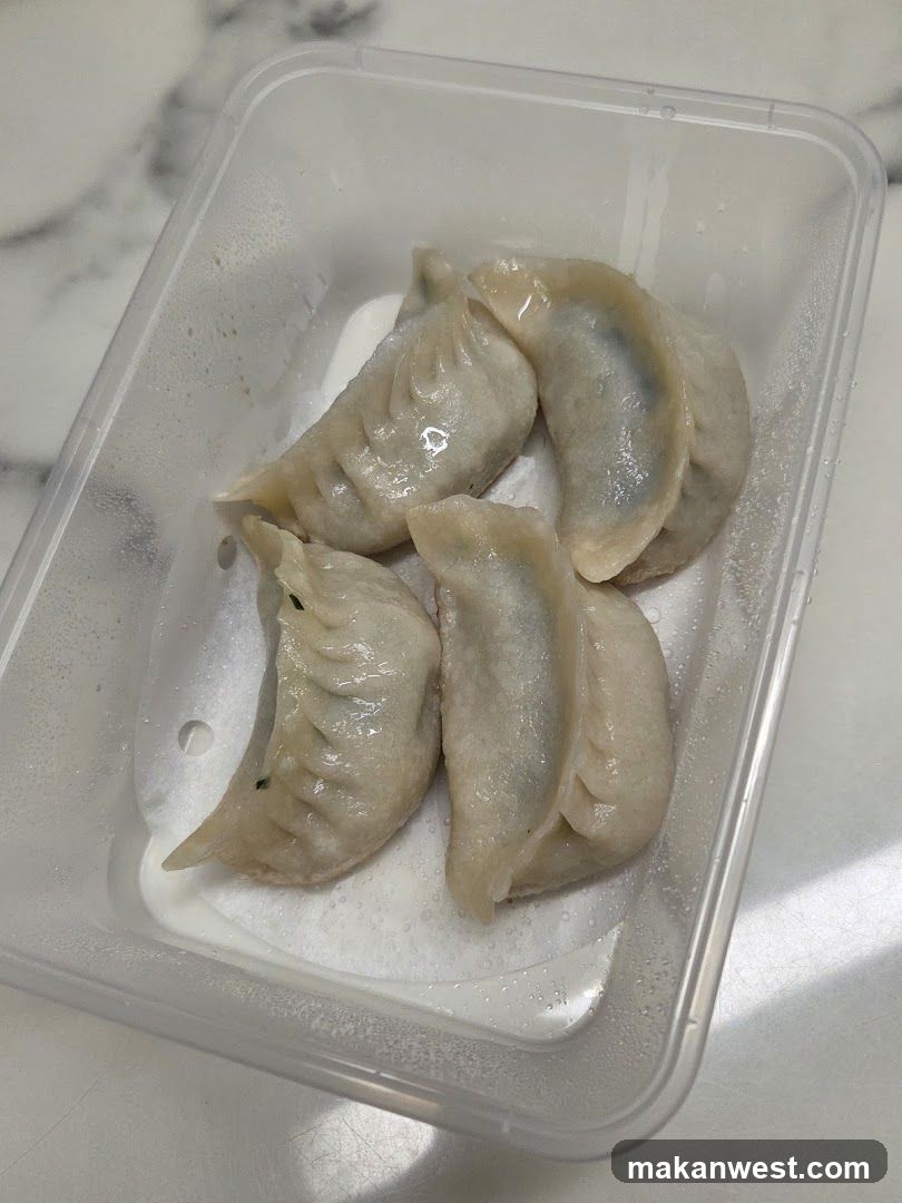 Steamed Dumplings in Takeout Container