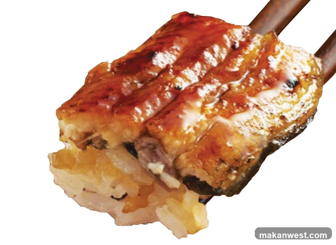 Eel and Rice