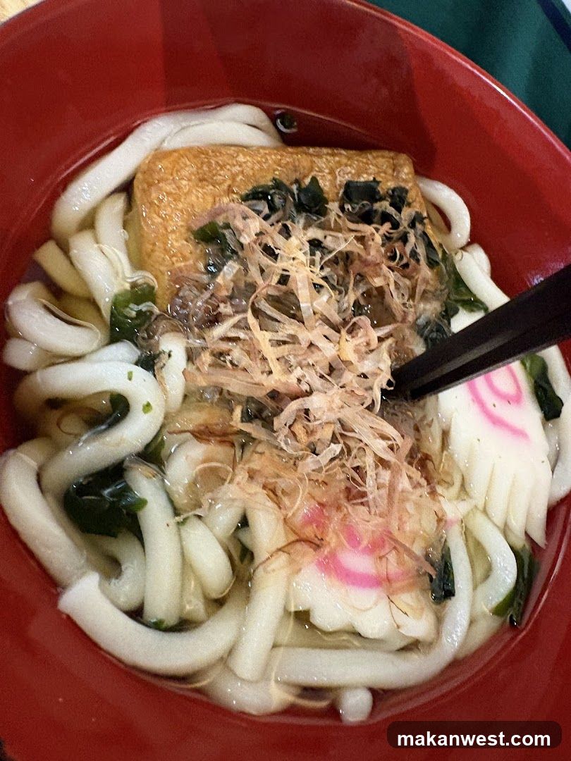 Udon Noodle Soup