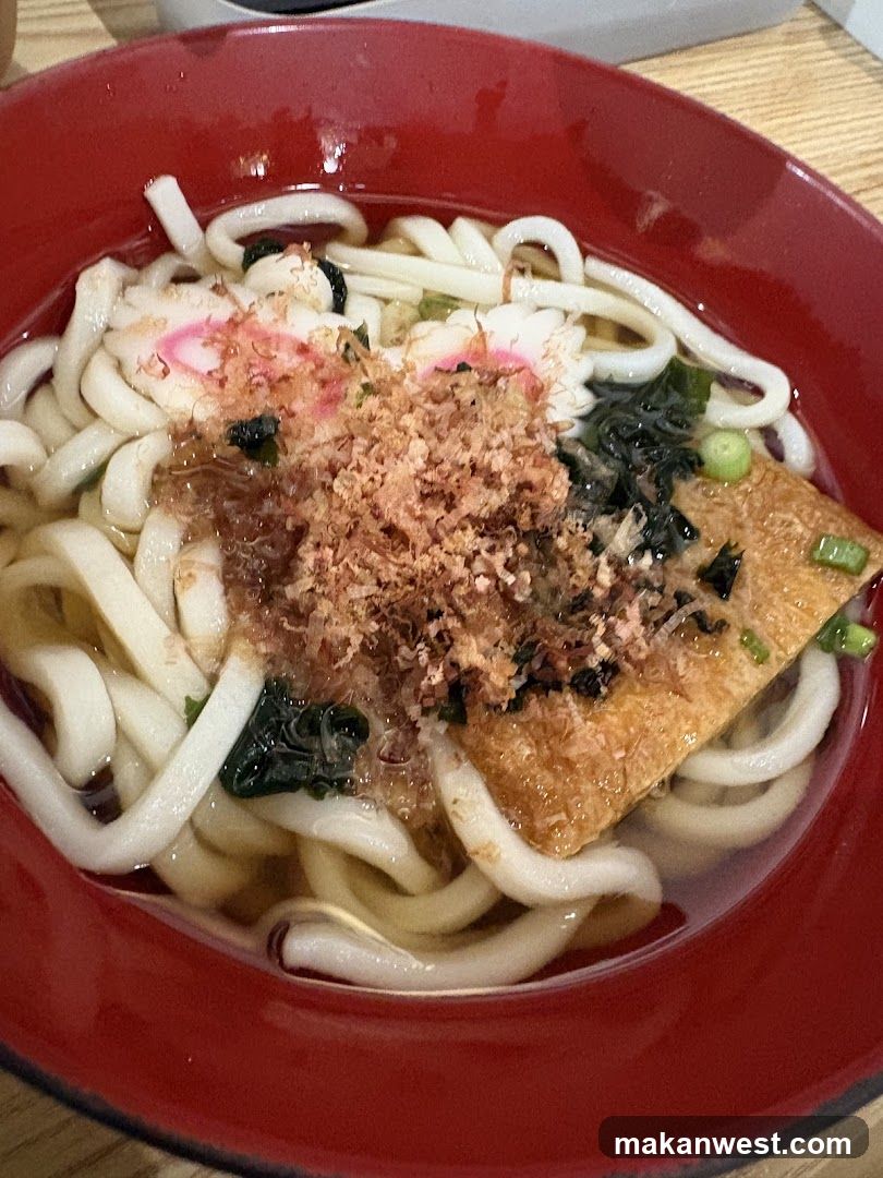 Udon Noodle Soup