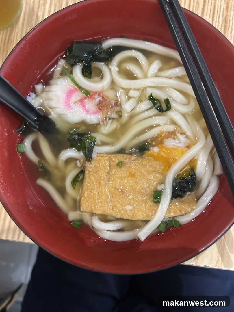 Udon Noodle Soup
