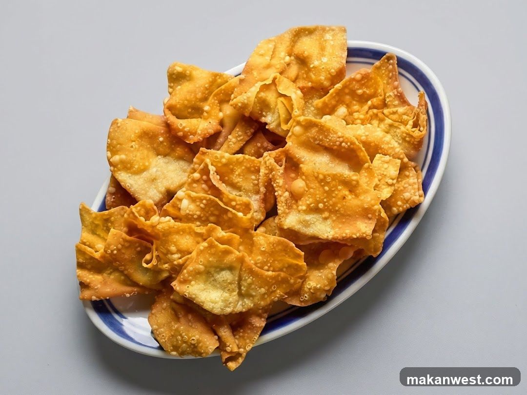 Fried Wonton Chips