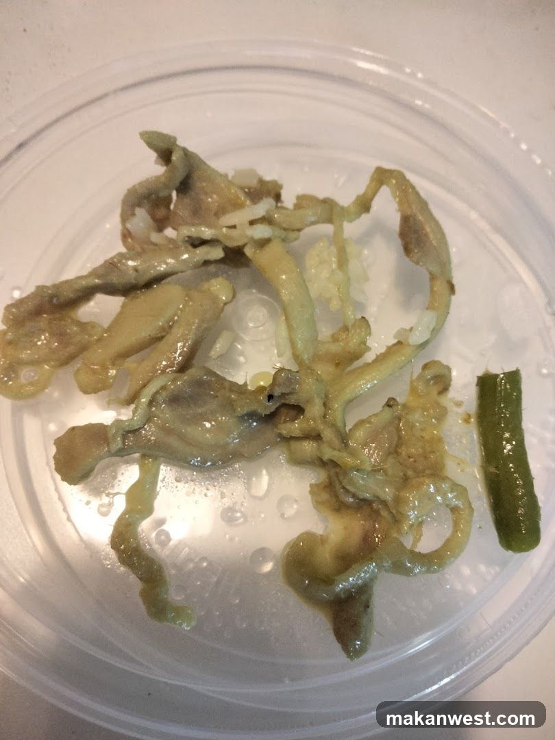 Cooked food in a plastic container