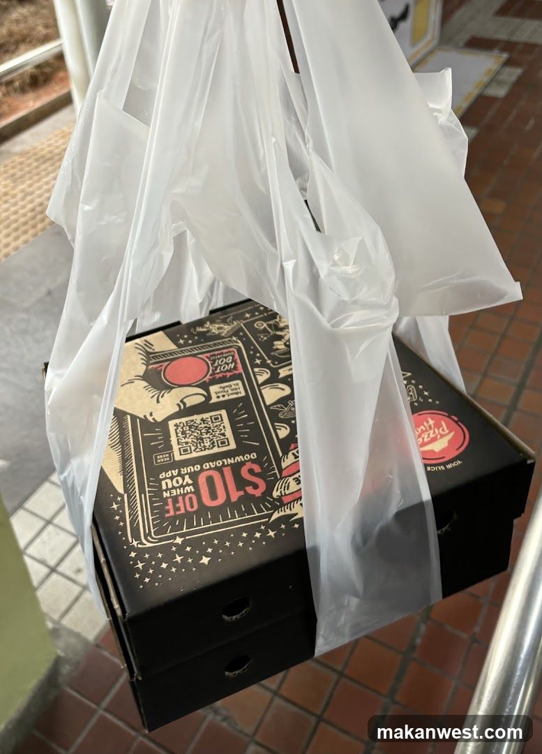 Pizza Boxes in a Bag