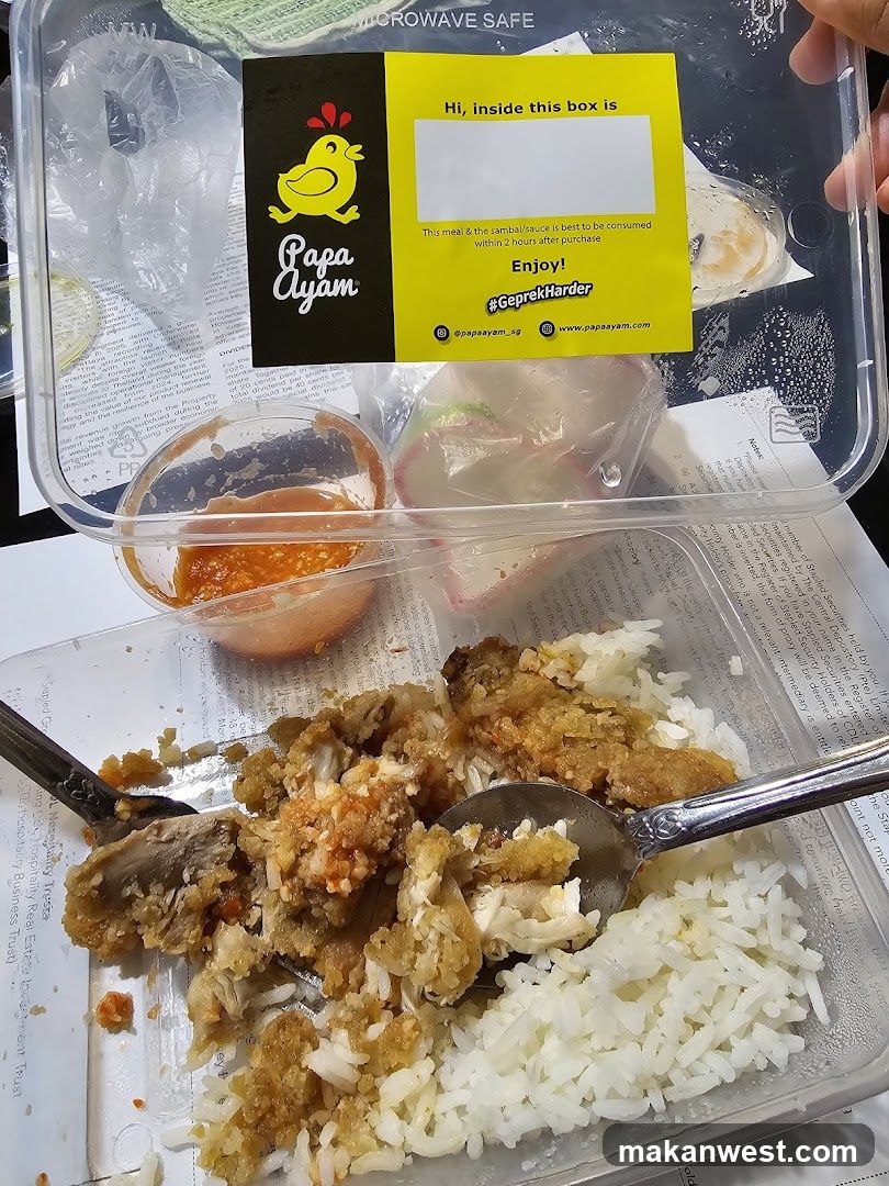 Fried chicken with rice