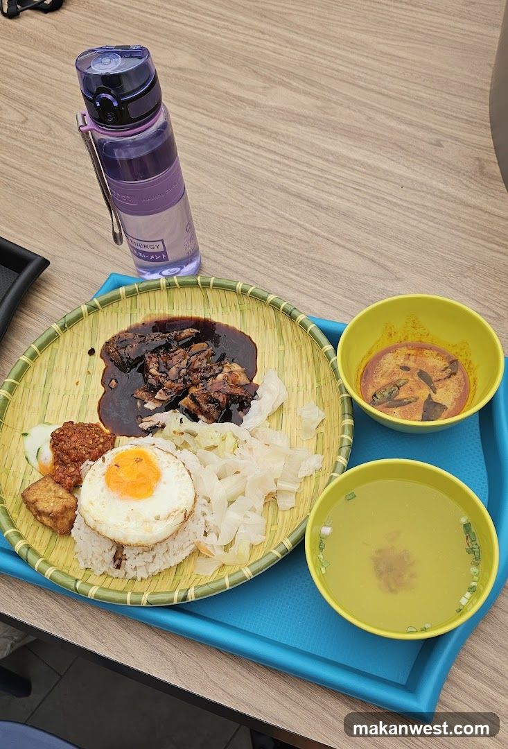 Meal with Fried Egg and Curry
