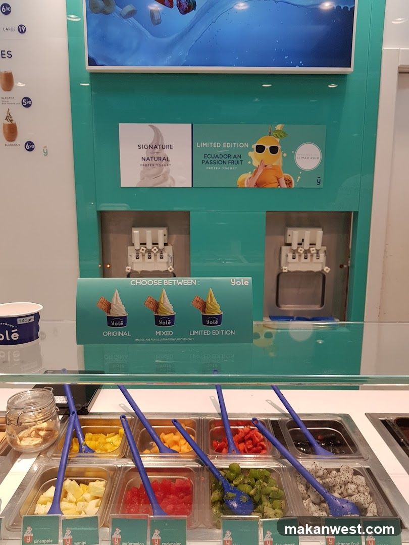 Frozen Yogurt Shop Display