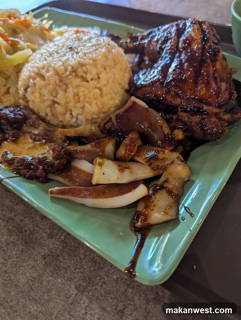 Chicken and Squid Rice Plate