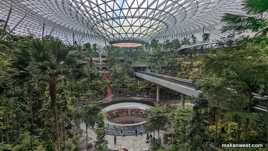 Indoor Garden Interior