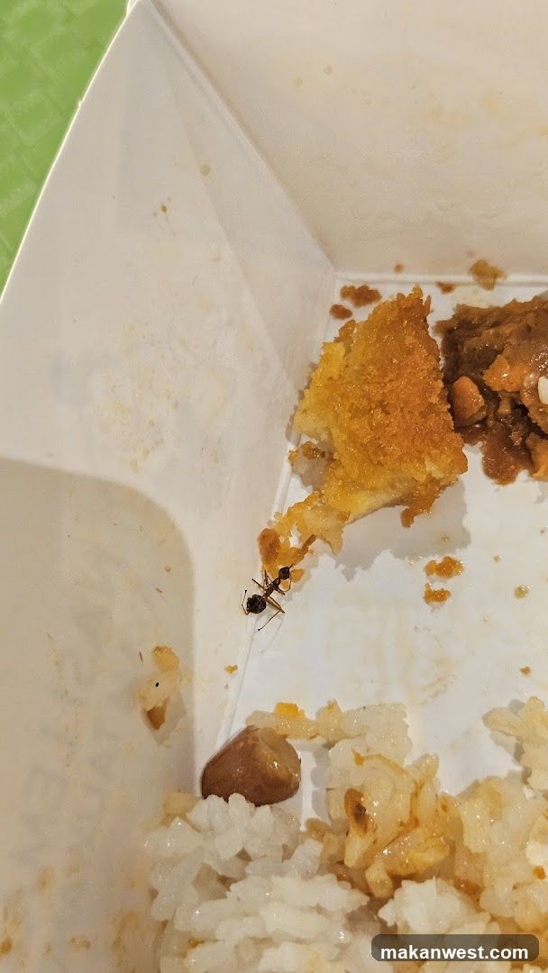 Ant in Takeout Container