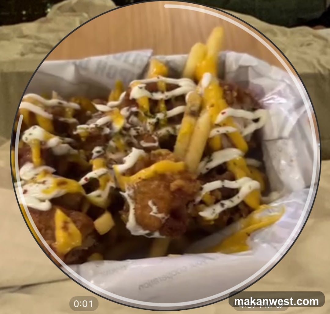 Fries with Sauce Drizzle