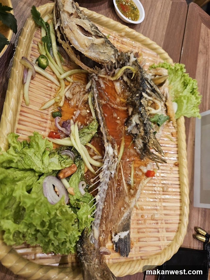 Grilled Fish with Salad