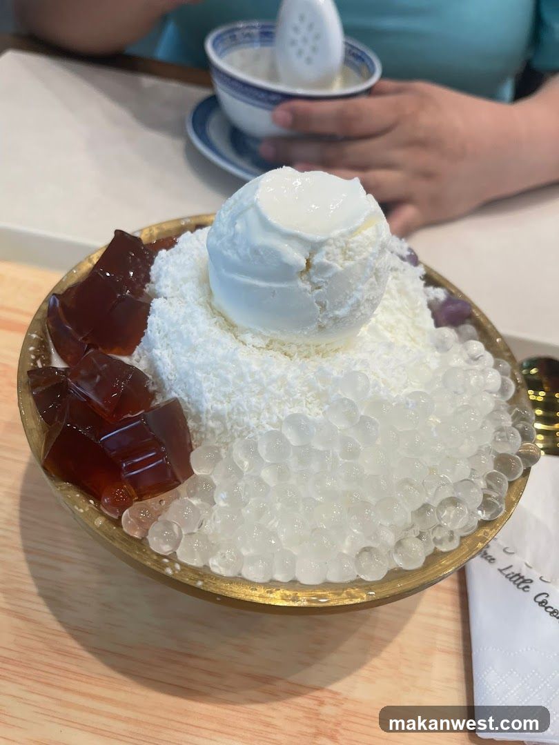 Shaved Ice Dessert Bowl