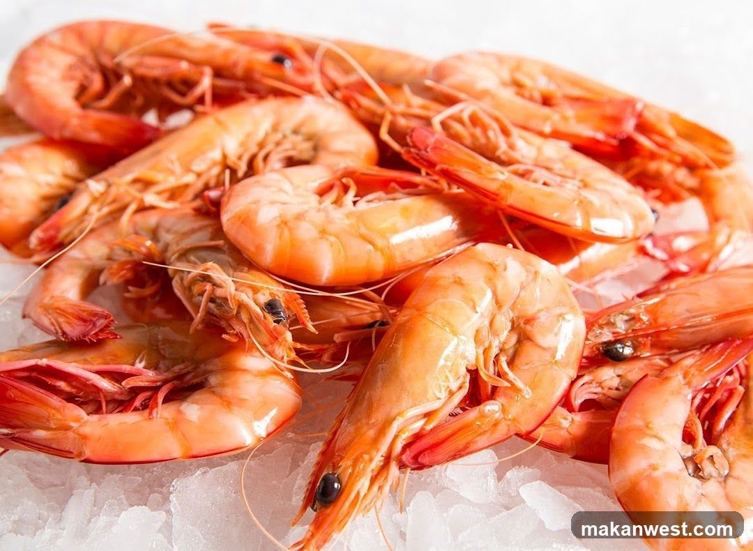 Fresh Shrimp on Ice