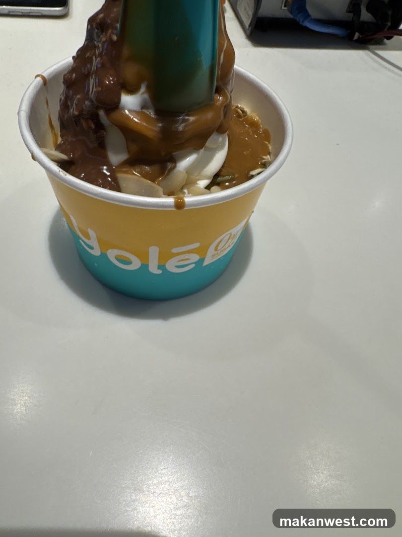 Frozen Yogurt Cup with Toppings