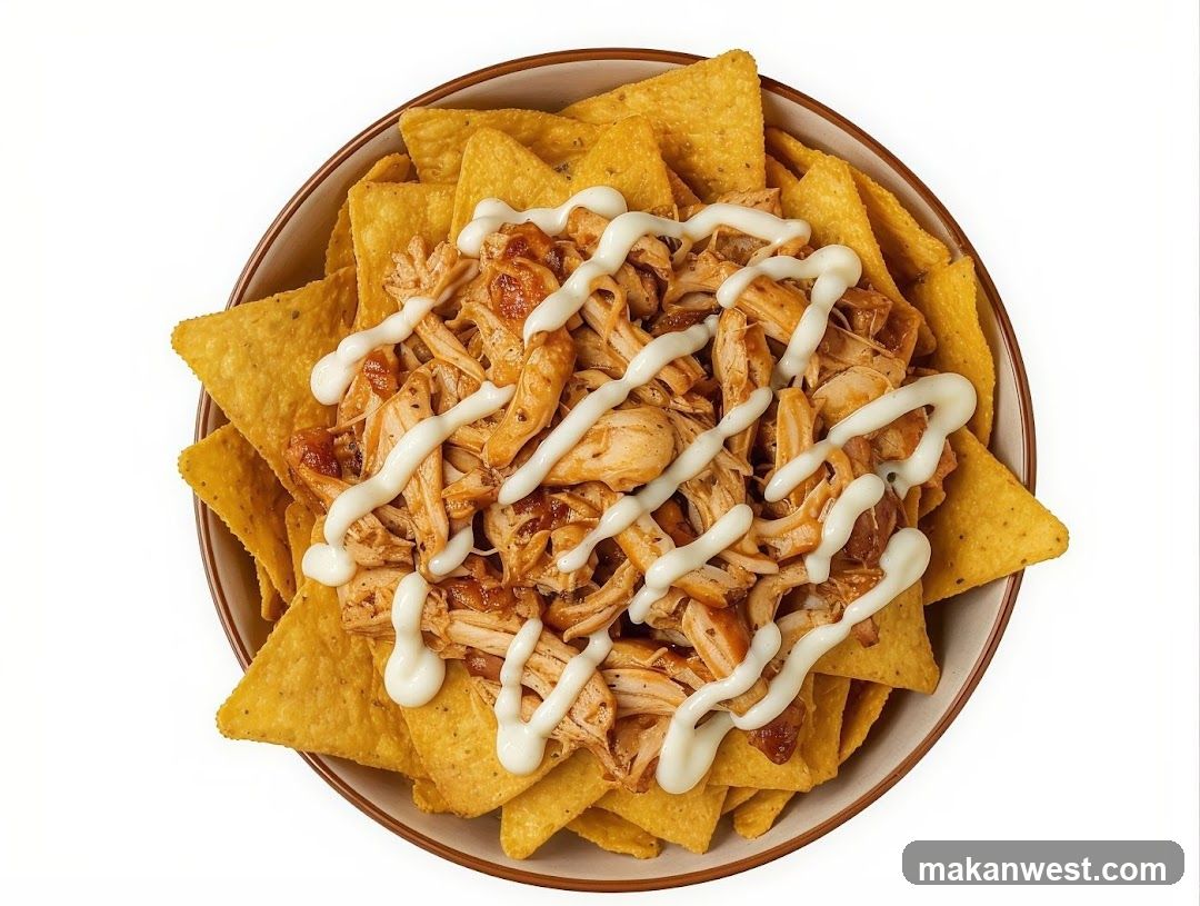 Tortilla Chips with Chicken and Sauce