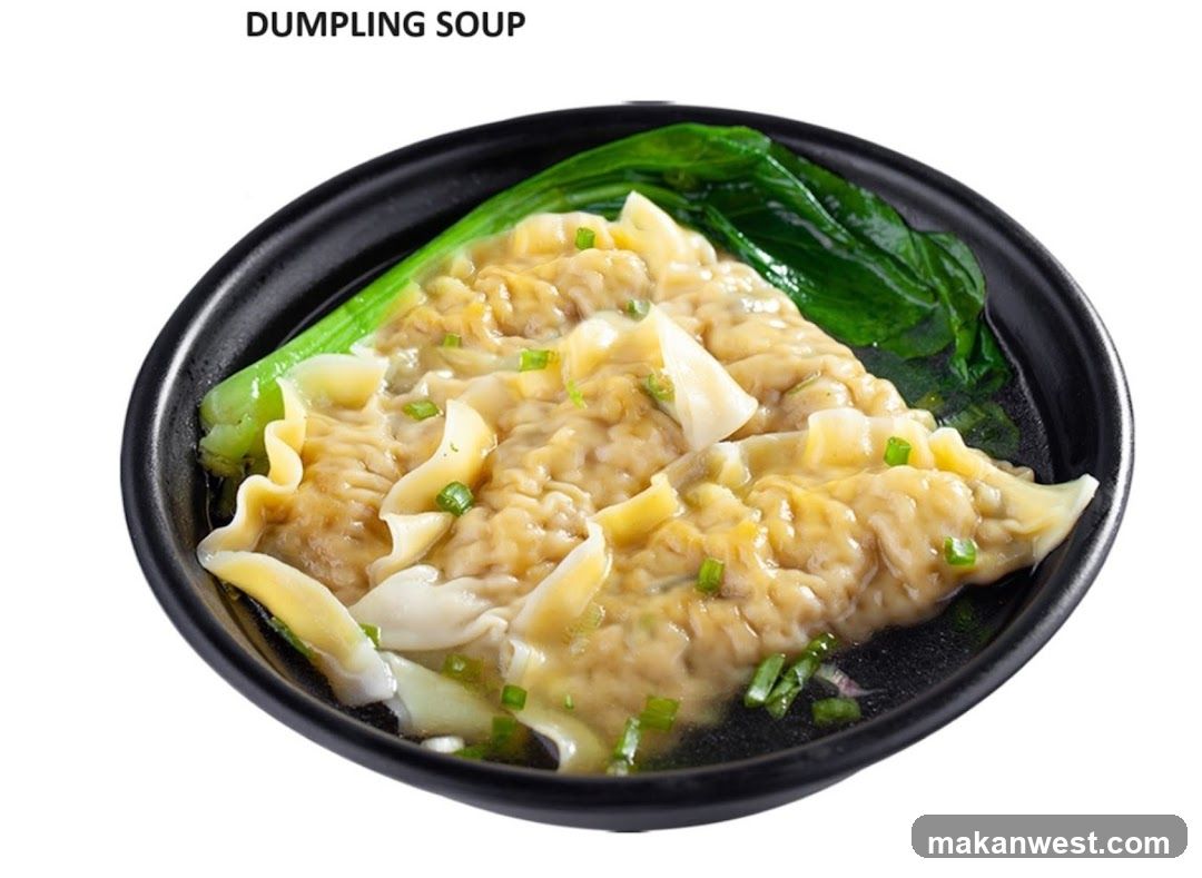 DUMPLING SOUP