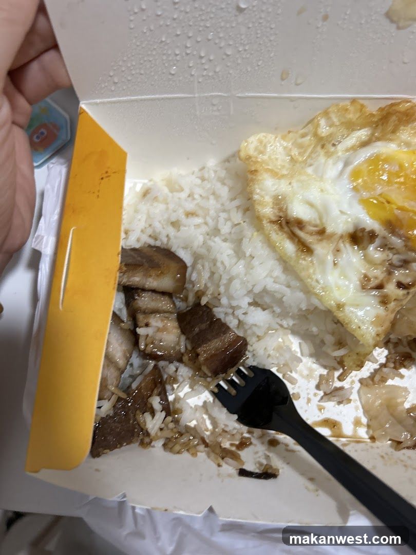 Takeout Rice Bowl with Fried Egg and Pork