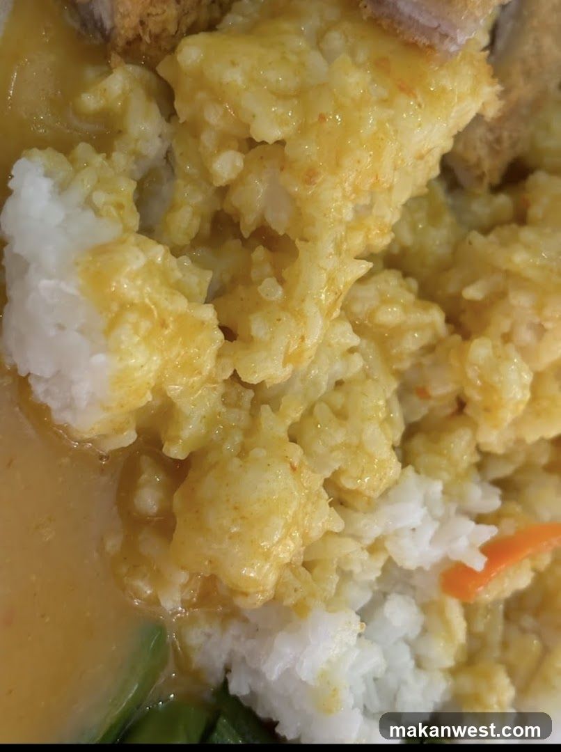 Curry Rice Dish