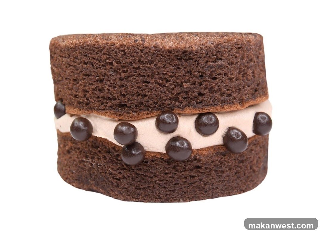 Chocolate Cake with Cream Filling and Chocolate Chips