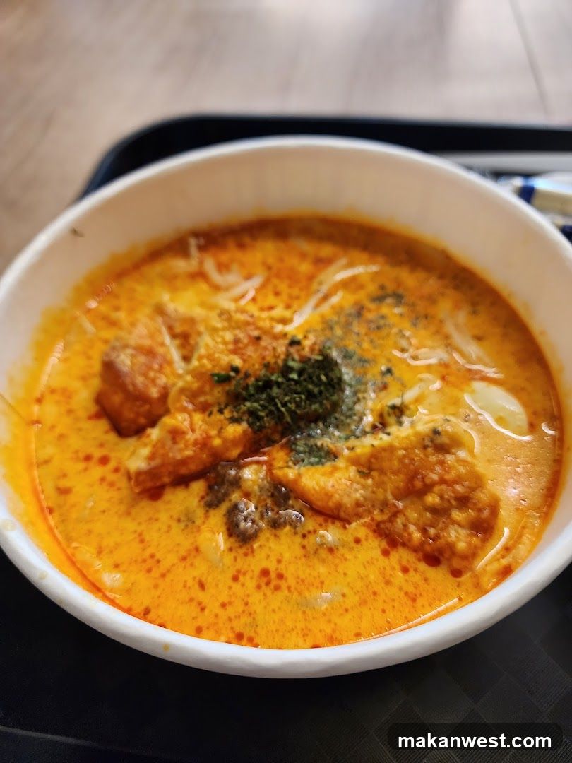 Curry Dish with Toppings