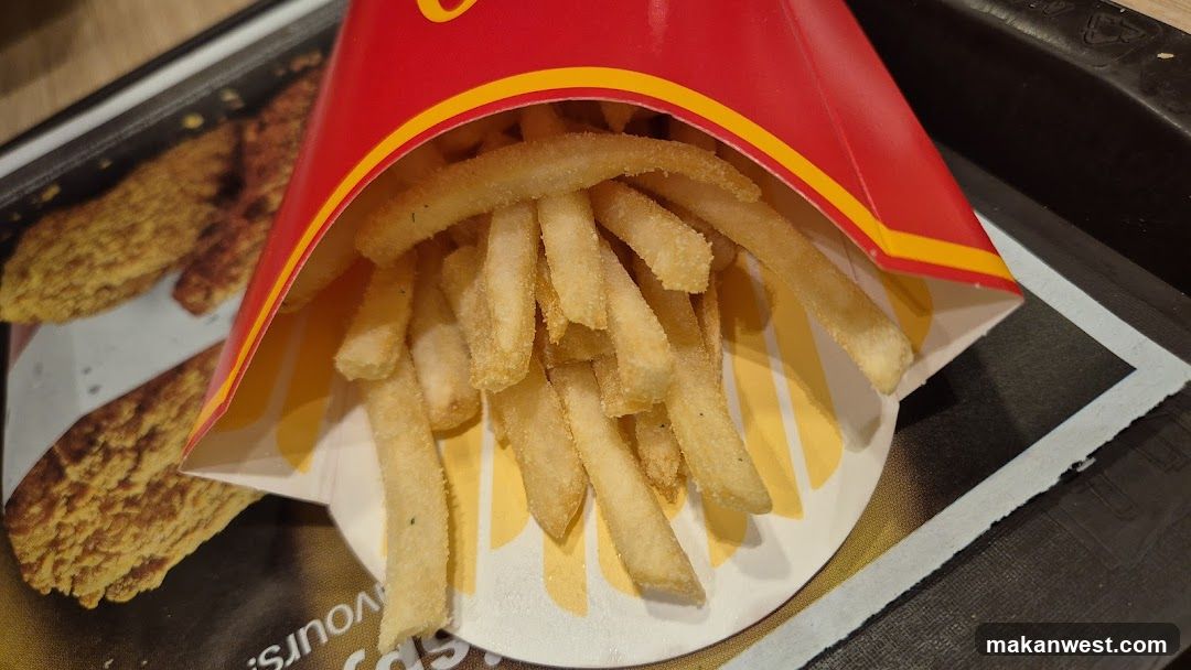 McDonald's Fries in Paper Container