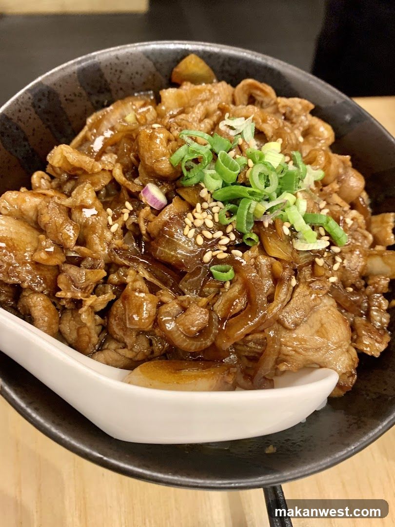 Bowl of Braised Meat with Onions and Scallions