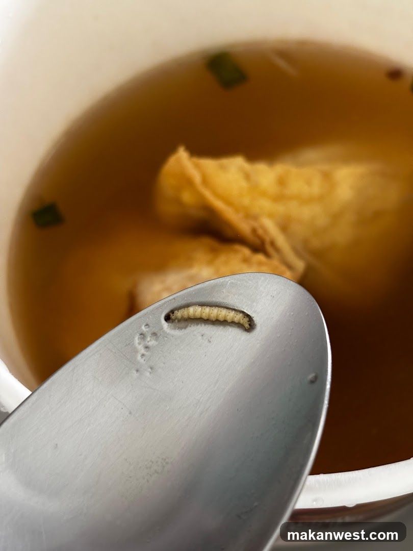 Larva in Soup