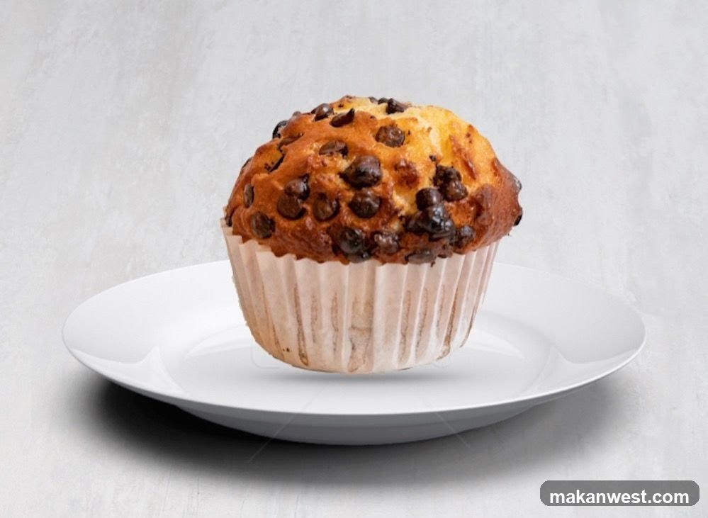 Chocolate Chip Muffin on a Plate