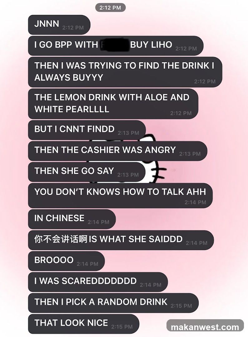 Chat conversation screenshot