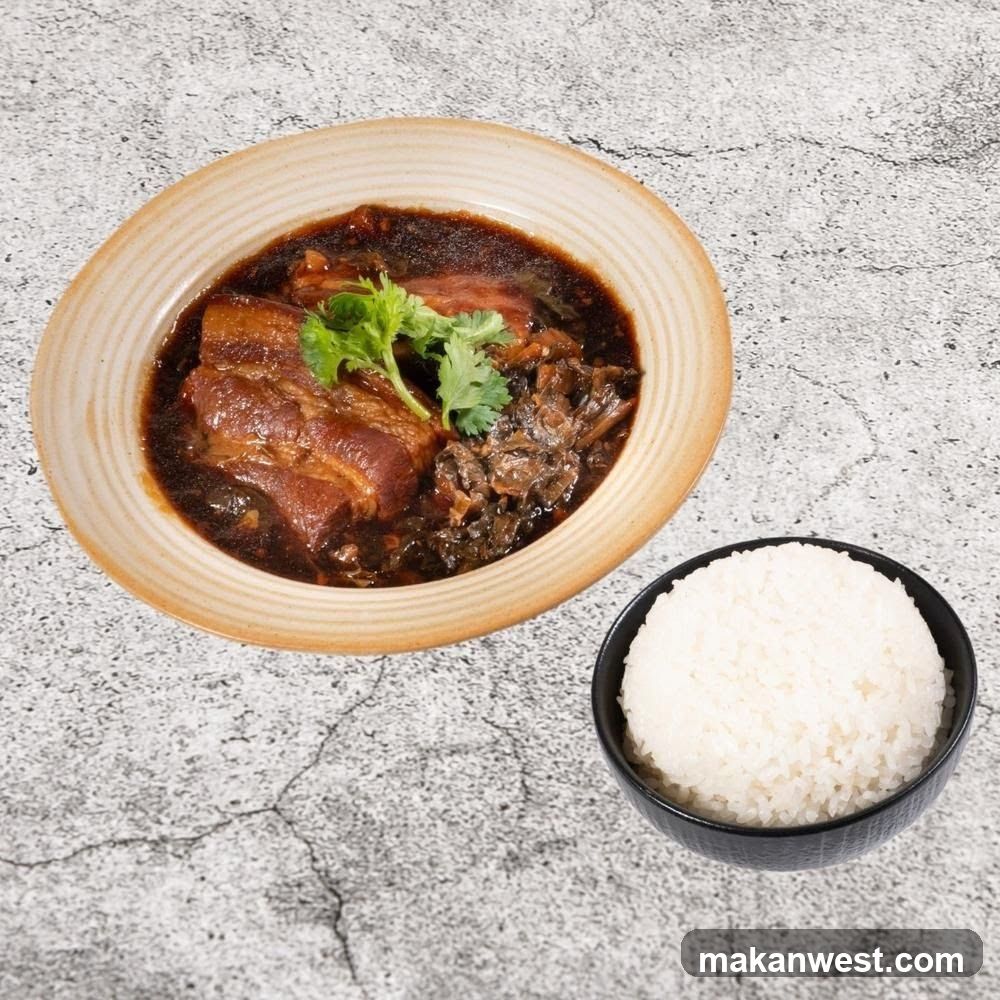 Braised Pork with Rice