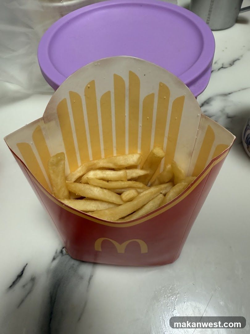 McDonald's French Fries in Paper Container