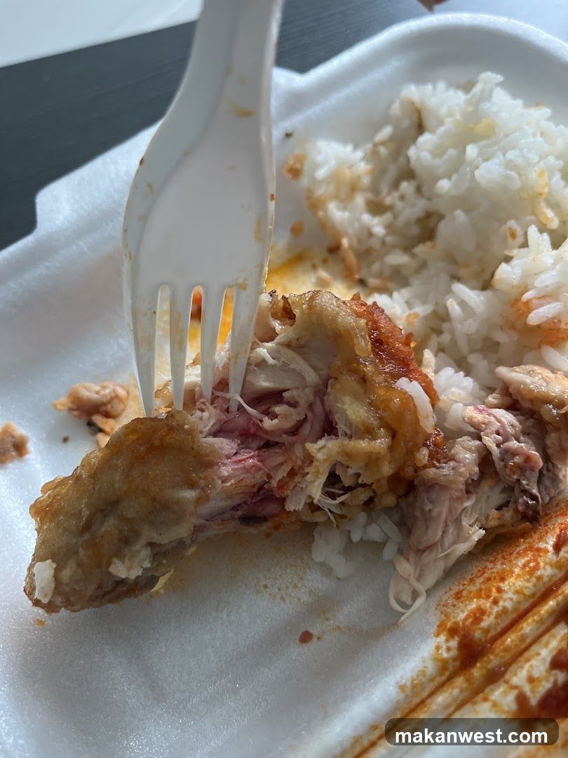 Fried Chicken with Rice