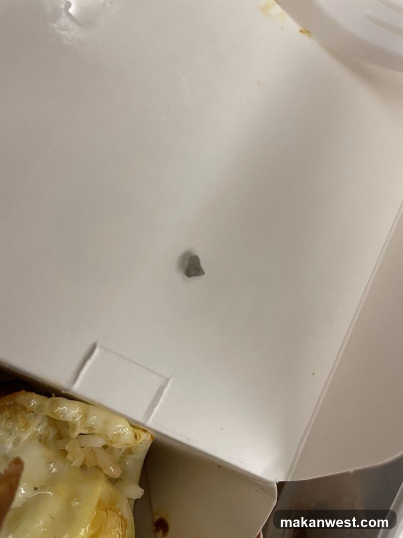 Food in container with foreign object