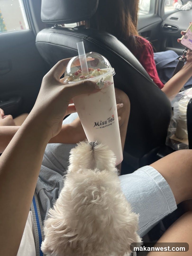 Miss Tea Drink in Car with Dog
