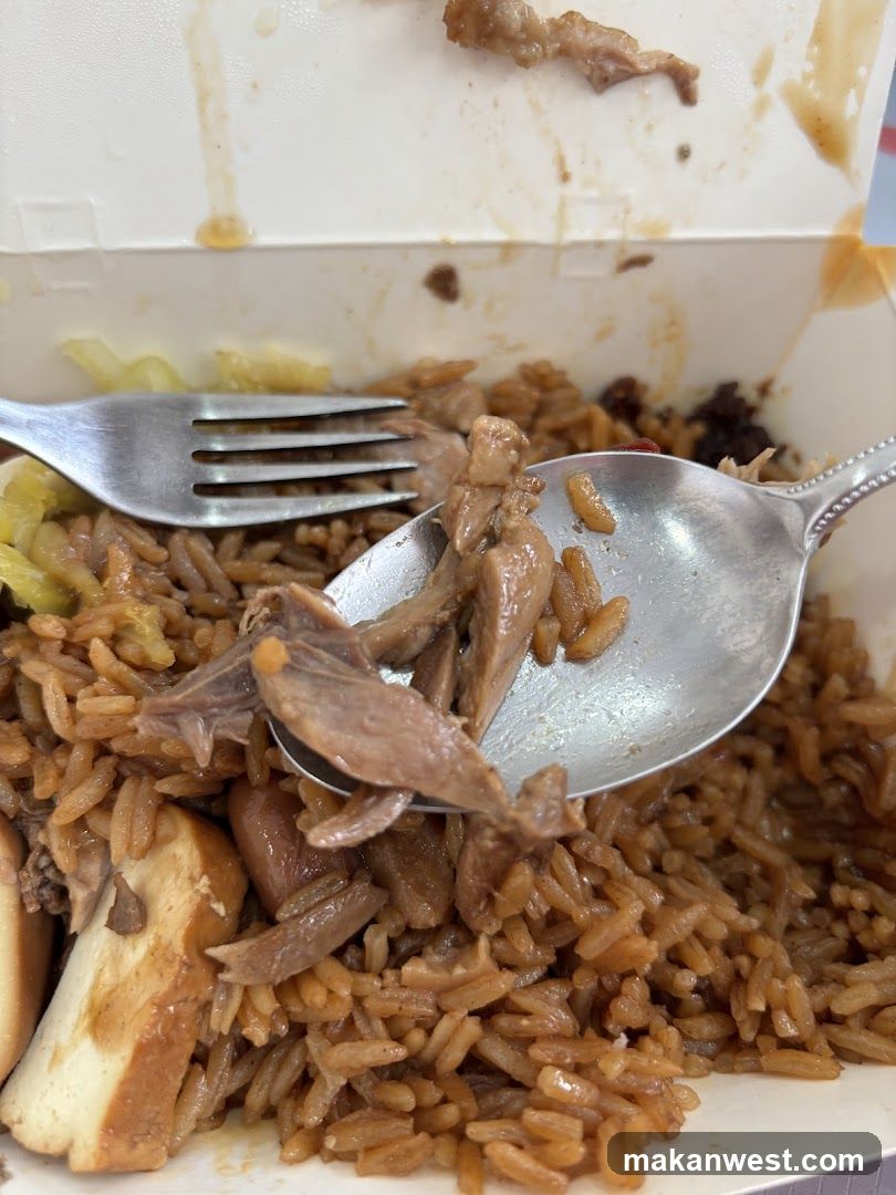 Takeout Meal with Fried Rice and Meat