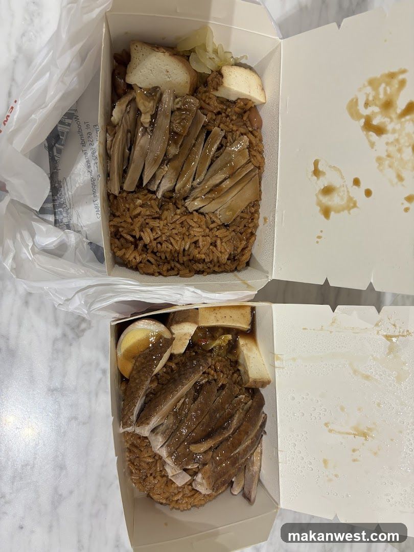 Takeout Rice Boxes with Meat and Tofu