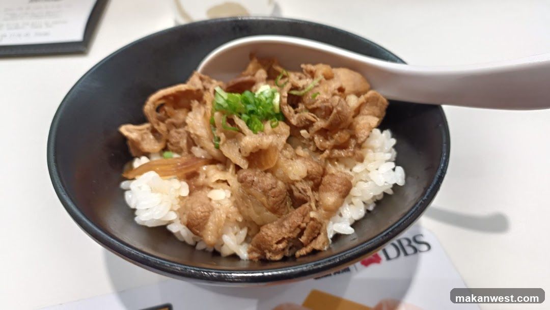 Bowl of Rice with Meat and Greens