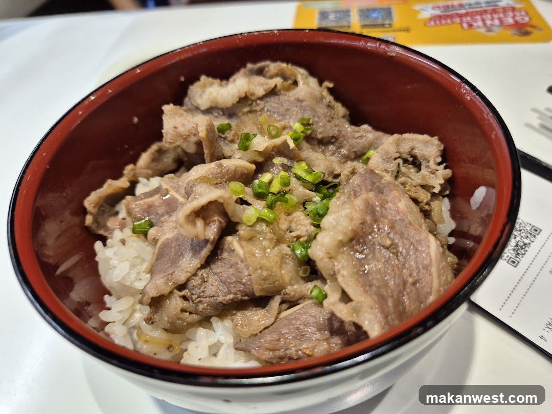 Bowl of Beef Rice with Green Onions