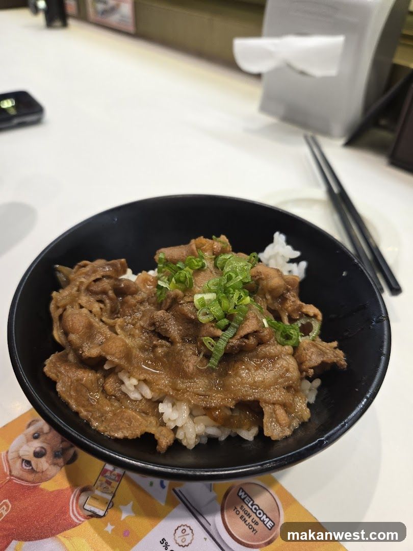 Bowl of Beef Rice with Green Onions