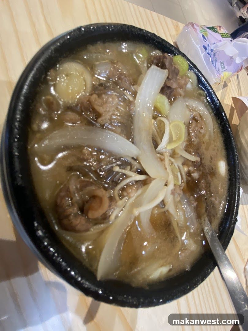 Bowl of Beef Broth with Onions and Noodles
