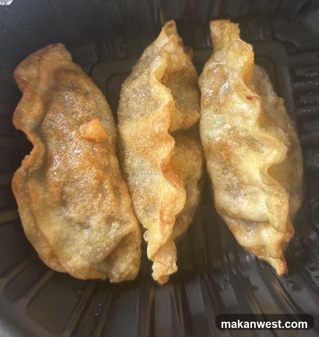 Fried Dumplings in Container
