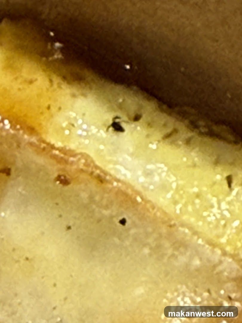Food Item Close-Up