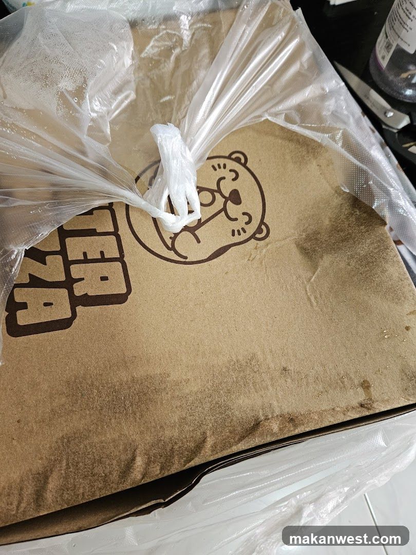Pizza Delivery Box