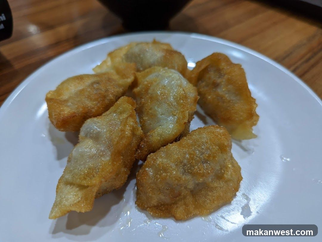 Fried Dumplings on a Plate