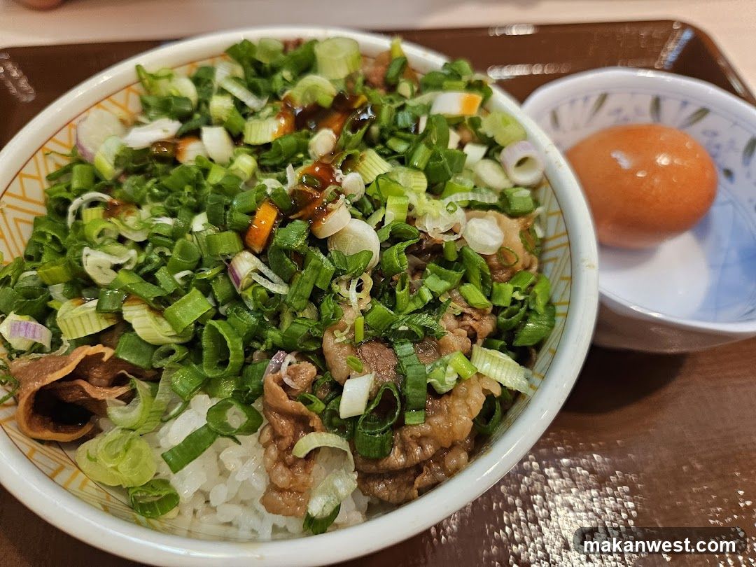 Bowl of Rice with Meat and Scallions